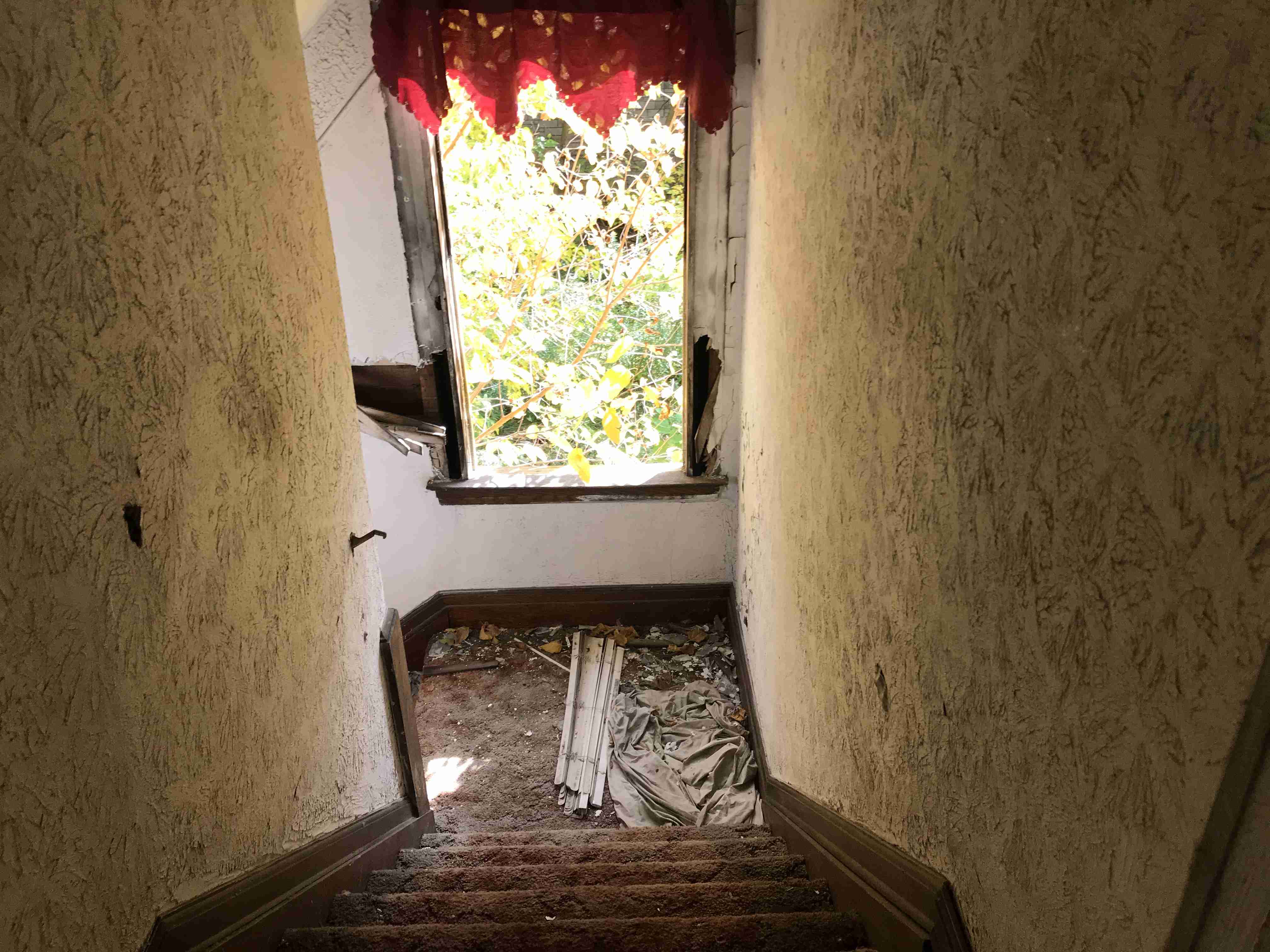 Photo Oct 13, 1 58 09 PM.jpg